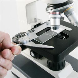 Bresser Erodit DLX  40-60x