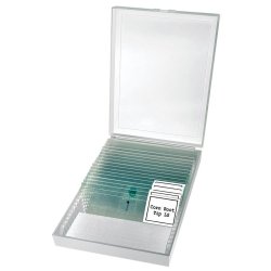 Bresser Erudit Basis Bino 40x-400x mikroskop 