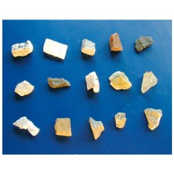 Bresser Mikroskop sterio 20x