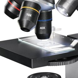 National  Geographic Mikroskop 40-1280x