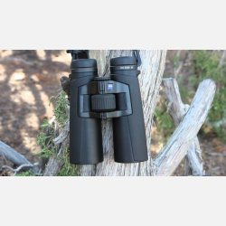 Zeiss Conquest HD 8x42