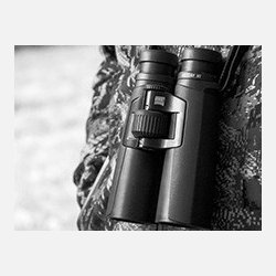 Zeiss Victory HT 10x54