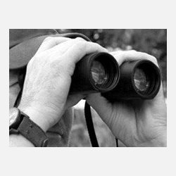 Zeiss Victory HT 10x54