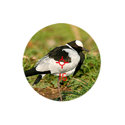 Zeiss Victory  PRF (Range finder) 8x26