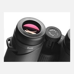 Zeiss Victory SF 8x42